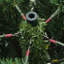 Artificial Hinged Christmas Tree PE and PVC-1865745322-1865745317