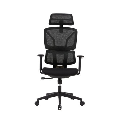 Demani Office Chair with Headrest