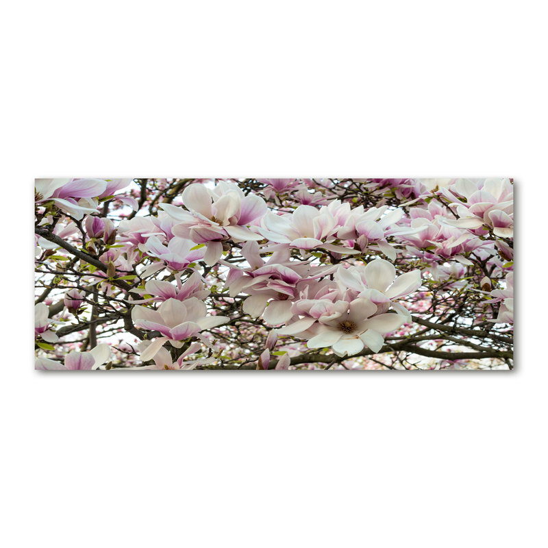 Magnolia Flowers - Wrapped Canvas Print, Canvas, 50cm H x 125cm W