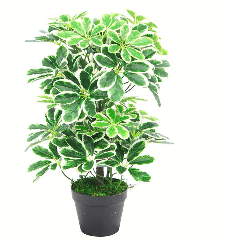 Anjeli 55cm Faux Foliage Plant in Pot