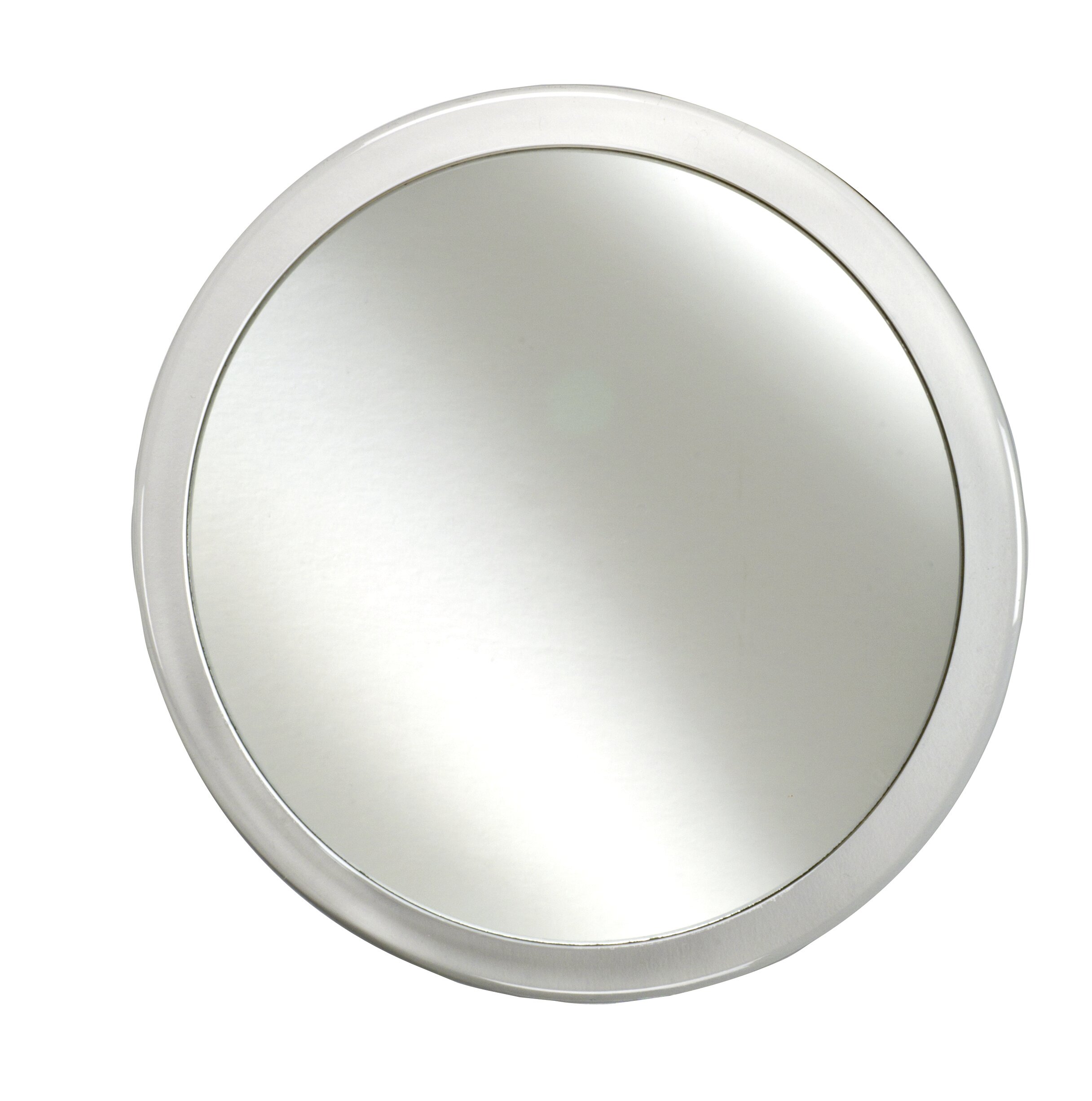 Symple Stuff Houpt 5x Magnifying Bathroom/Vanity Mirror | Wayfair