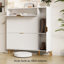 12 Pair Shoe Storage Cabinet