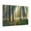 No Frame Print on Canvas-527625869