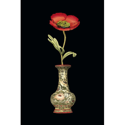 Poppy Magic I by Vision Studio - Wrapped Canvas Painting