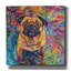 «Pug In The Rain» par Rich Monet, art mural sur toile-1442721313