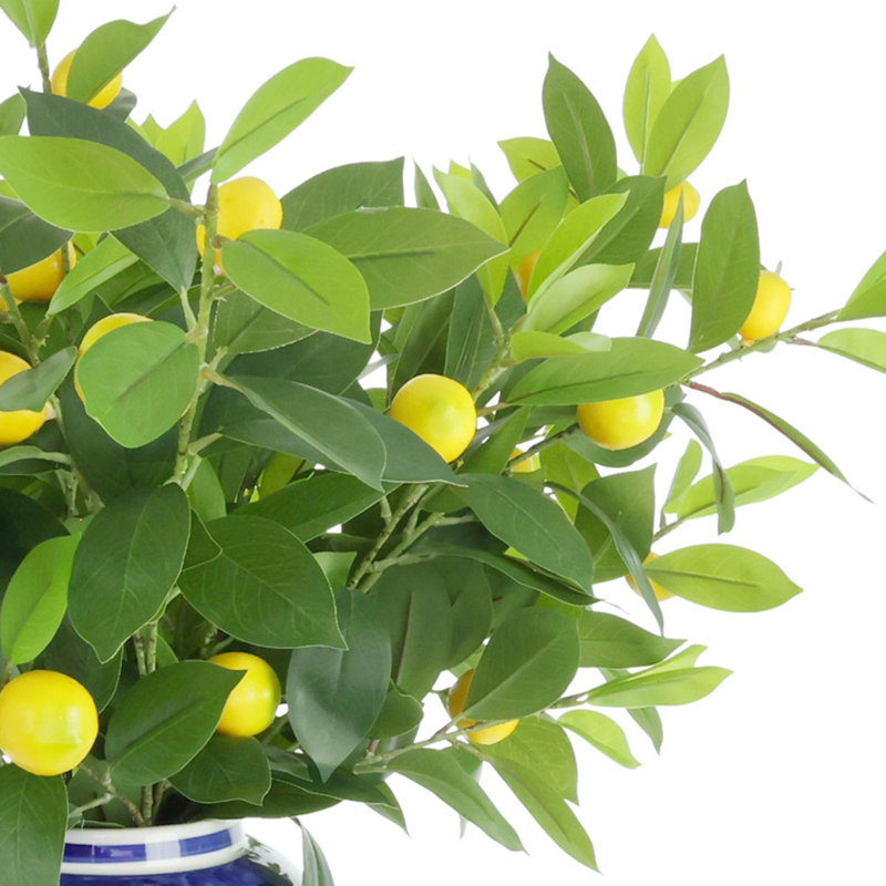 Arrangement de feuilles de citron dans un vase décoratif en céramique