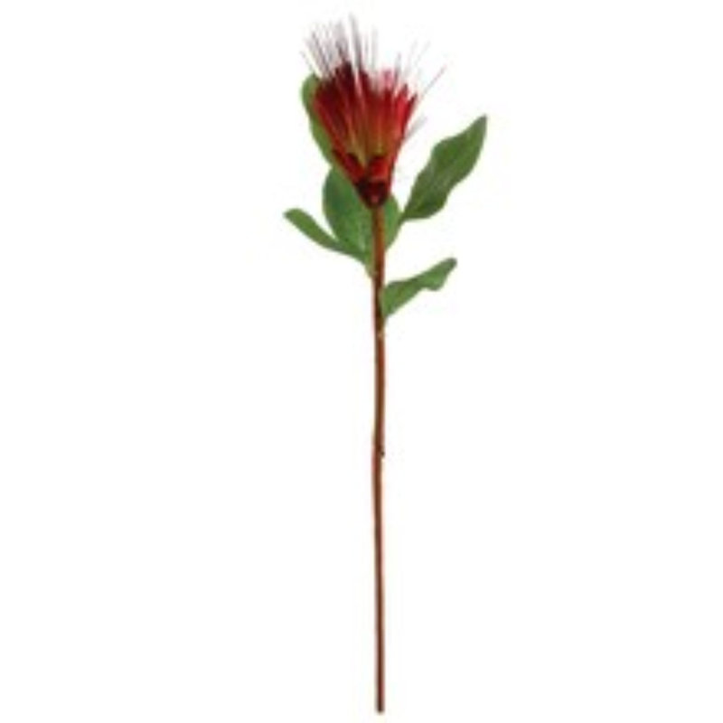 3pc 30" Orange Royal Protea Spray