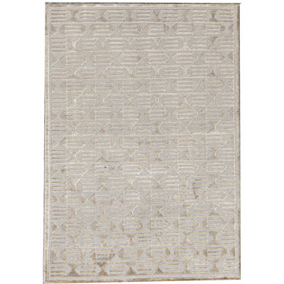Hand-Knotted High-Quality Gray Area Rug