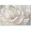 " Peach Perfect " Painting Print-1554579781