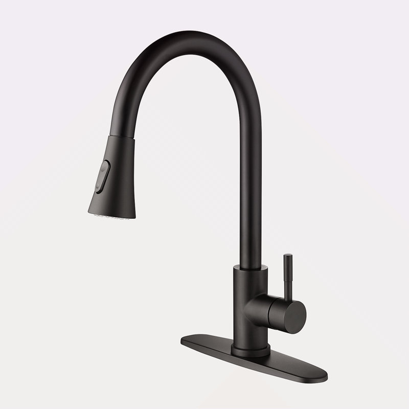 Kitchen Faucet With Pull Out Spraye, Matte Black