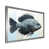 Silver Single Picture Framed