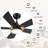 Amonnie 52'' Ceiling Fan with LED Lights-1365979910