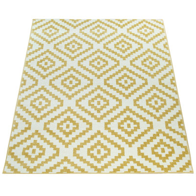Daxter Moroccan Indoor Rug