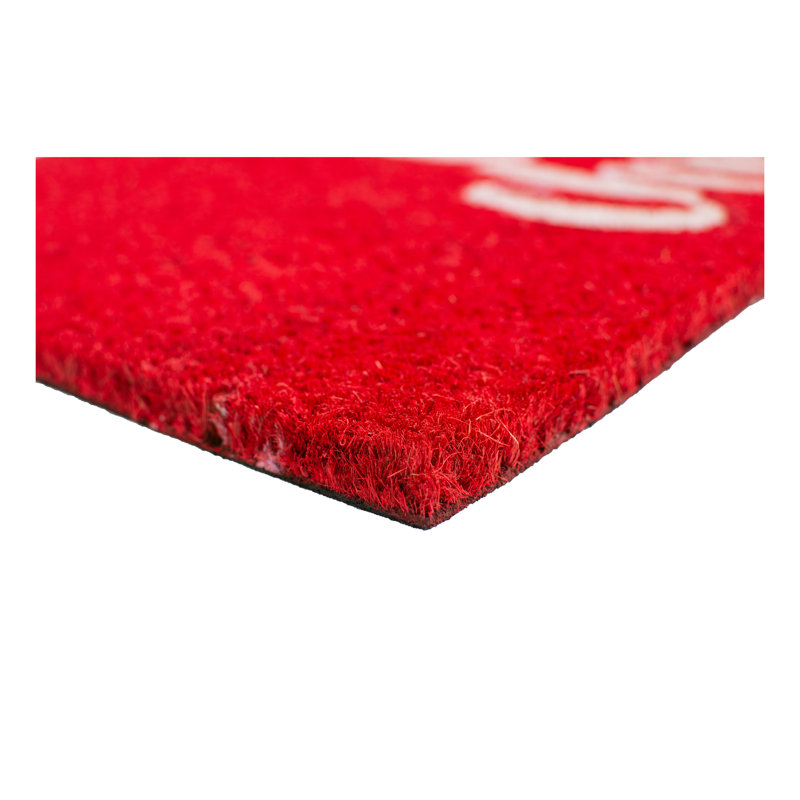 Tapis de porte Ayvianna, L 17 po x L 29 po