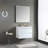 Fahriye 30 " W Single Vanity Bathroom Vanity With Acrylic Top with Mirror-1083682121