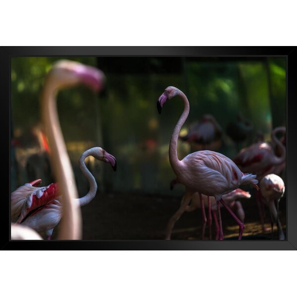 Pink Flamingoes Standing Face to Face Love Flamingo Prints Flamingo Wall  Decor Beach Theme Bathroom Decor Wildlife Print Pink Flamingo Bird Exotic  Beach Poster White Wood Framed Art Poster 14x20 - Poster