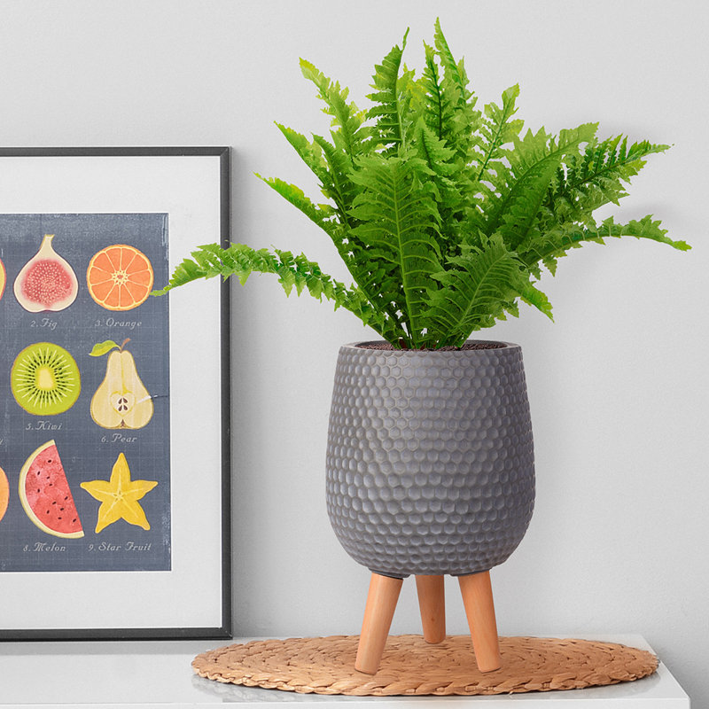 Honeycomb Style Egg Planter with Feet, Dark Grey, 34cm H x 22cm W x 22cm D
