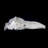 Herkimer Diamond on Dolostone. Fonda, NY, USA