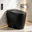 Toilette intelligente noire conforme aux normes ADA avec siège chauffant, bidet intégré, séchoir à air chaud, ouverture automatique du couvercle, télécommande, veilleuse, entraxe de 30,5 cm (12 po).-139023379