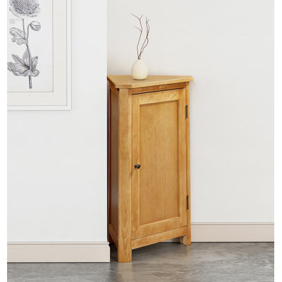 Winfrey 1 -Door Accent Cabinet