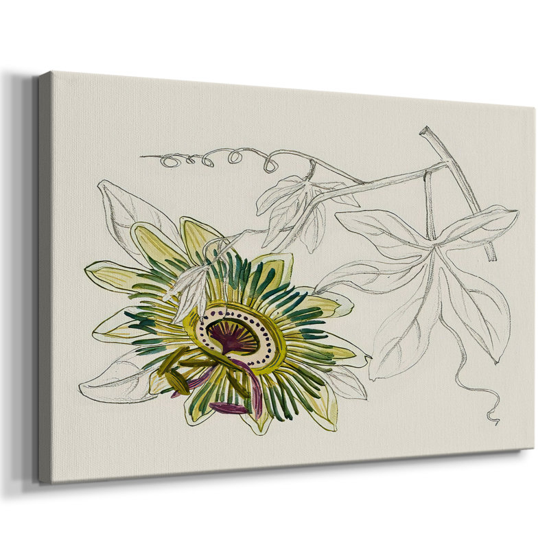 Passiflore III - Cavas enveloppés de galerie, 24 x 36