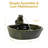Hyman Frog Contemporary Green Ceramic Solar Water Fountain