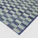 Riane Checkered Indoor / Outdoor Area Rug 