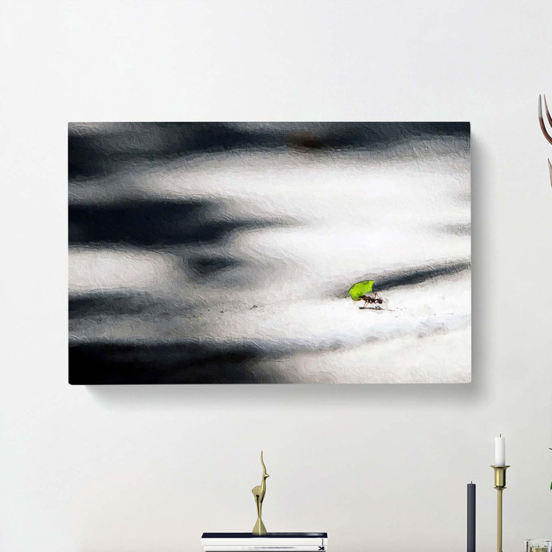 Worker Ant - Wrapped Canvas Painting, 35cm H x 50cm W x 3cm D
