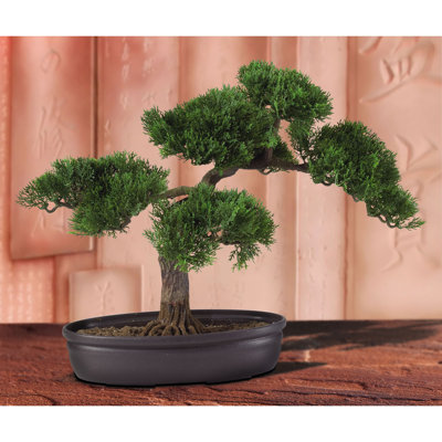 Faux Cedar Plant in Planter