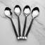 Shirleyan Design Burnt Blacktea/Desert Spoon 4 Pcs. Set