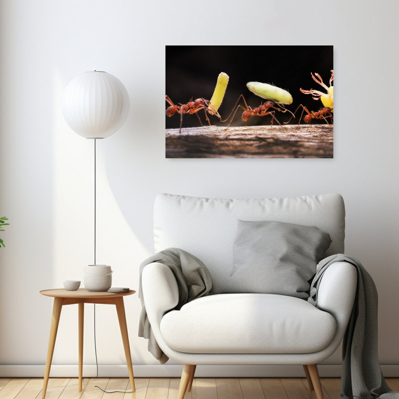 Ants On A Mission Vibrant Contemporary Ant Nature Plant Wall Art Print by Summer2016 - Print, 60.96cm H x 91.44cm W