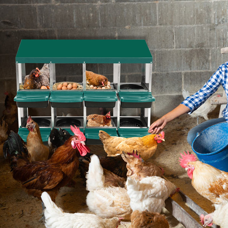 Chicken Nest Box, Chicken Nest Box With Lid To Protect Eggs