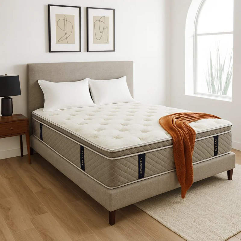 Matelas en mousse viscoélastique pelucheux 13 po Alwyn Home Jacklynne, Très grand californien