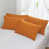 Orange / palmiers est en rupture de stock