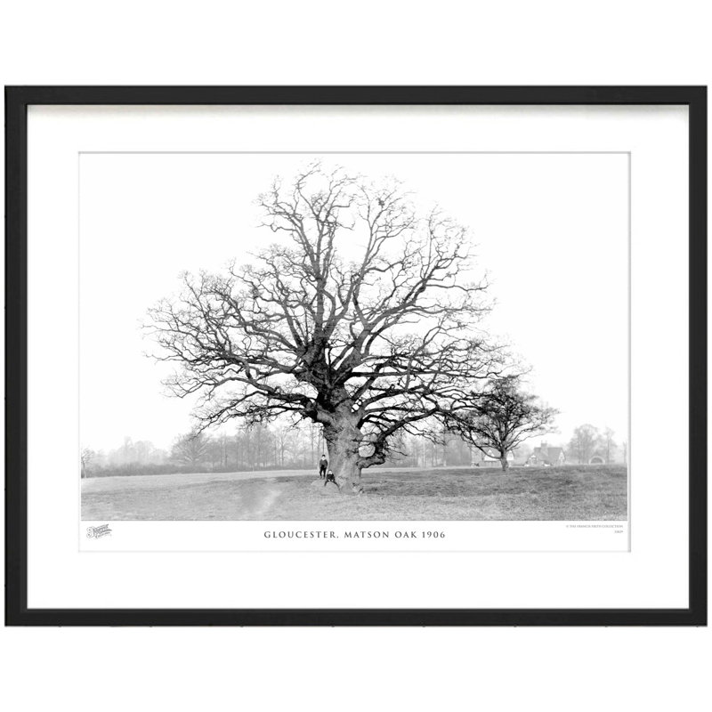 Gloucester, Matson Oak 1906 1 Piece Single Picture Frame Wall Art, 45cm H x 60cm W x 2.3cm D