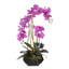 Real Touch Phalaenopsis Silk Orchid Floral Arrangement in Pot