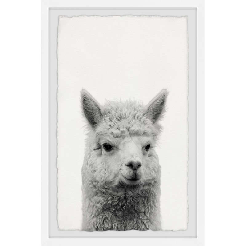 Gen X Llama - Drawing, 46cm H x 30cm W