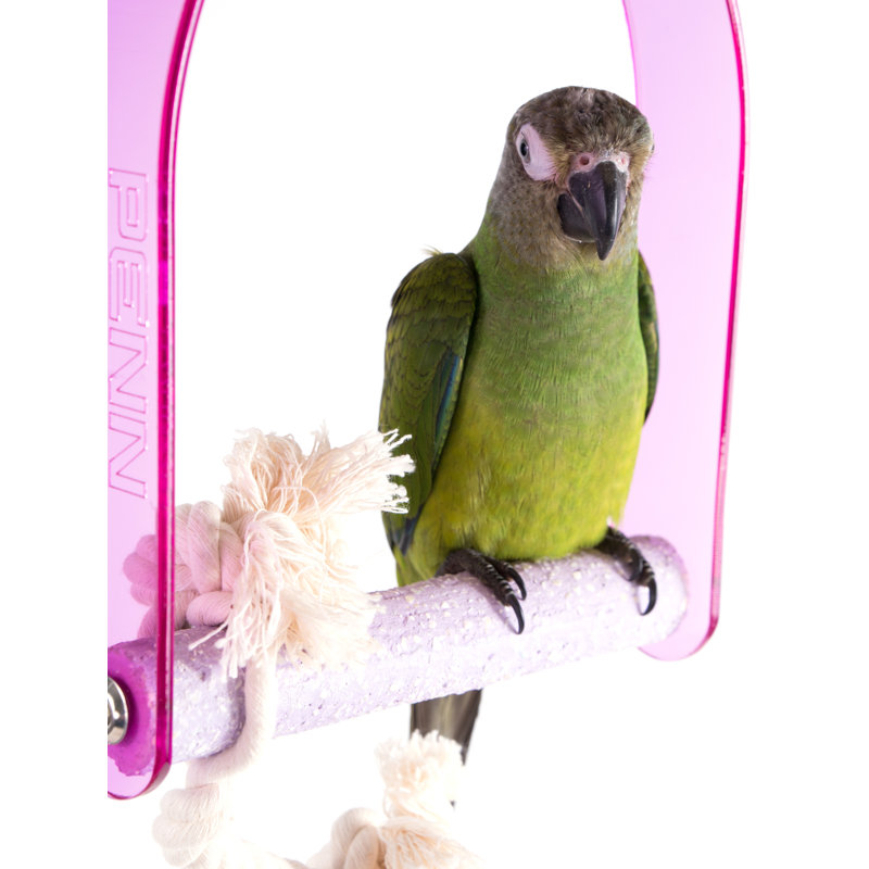 Balançoire en plastique 14,25 po avec perchoir en acrylique pour cage intérieure - les couleurs varient