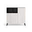 Moss 12 Pair Shoe Storage Cabinet-990078779