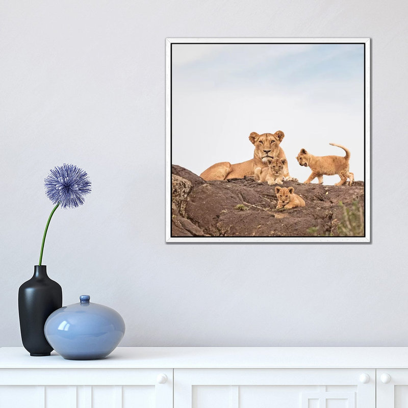 Colour Lioness & Cubs by Klaus Tiedge - Print on Canvas, White Framed Canvas, 45.72 cm H x 45.72 cm W