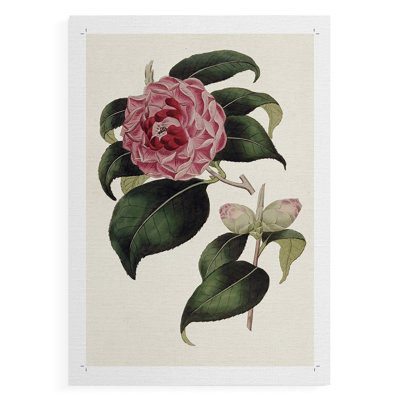 Mélange de fleurs roses III - impression sur toile seulement - NON CADRE
