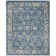 Jase Charleston Performance Oriental Rug