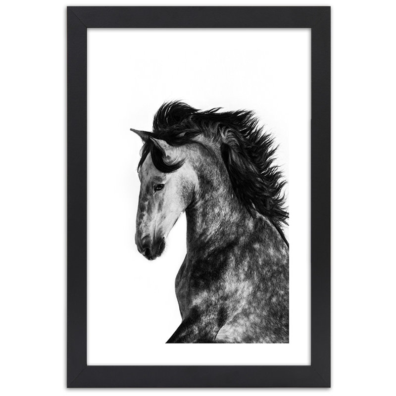White Horse Galloping Animals - Single Picture Frame Print, Black, 100cm H x 70cm W