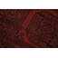 Tapis de couloir oriental afghan Elephant