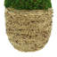 Organic Modern Moss Arranged in Large Strawgrass Pot-796183783