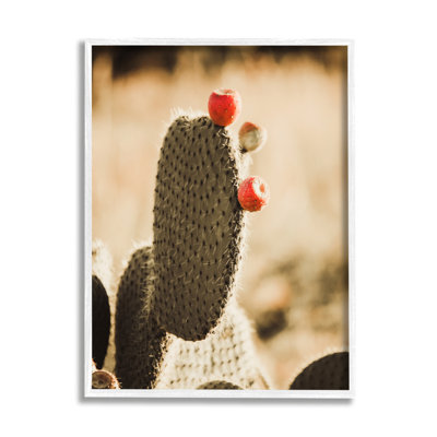 " Prickly Pear Cactus Fruits " by Krista Broadway