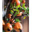 Tige de fruit de grenade artificielle Edgerton-1210869042