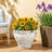 LARGO PLANTER