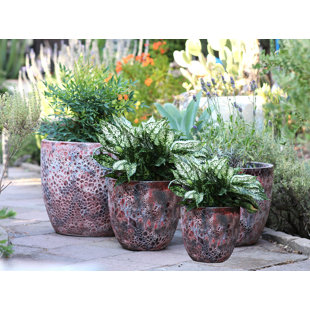 PLANTATOREM Coco Pots (Coral Reef Red) - Handcrafted High-Fired Ceramic