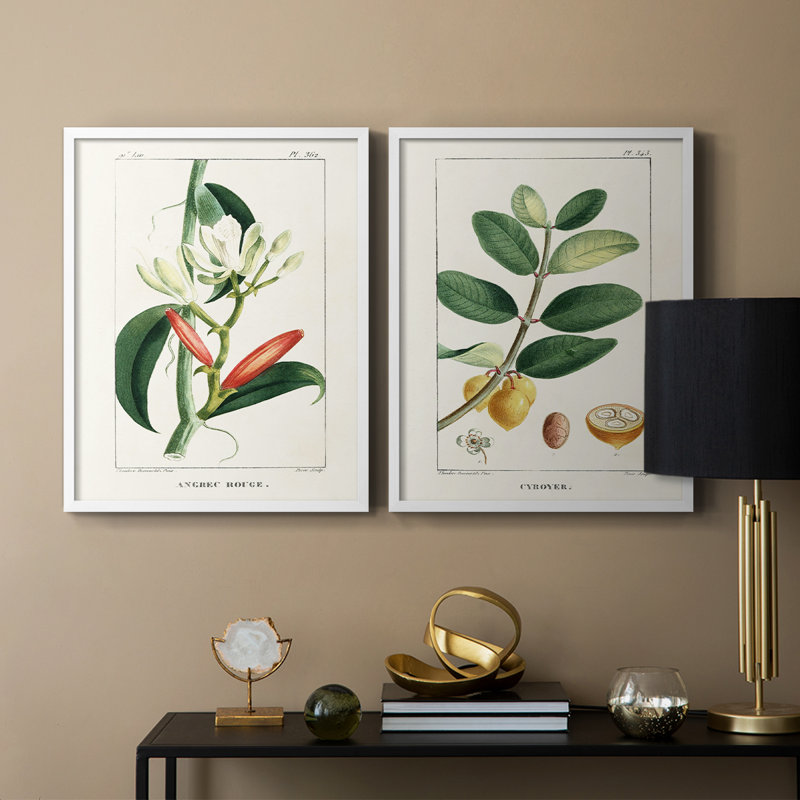 Reproduction encadrée Turpin Tropical Botanicals IX-Premium - prête à être accrochée, Blanc, H 21 po x l 34 po